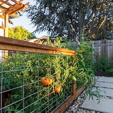 A-Garden-and-Pool-Sanctuary-Among-the-Vines-in-Arroyo-Grande 1